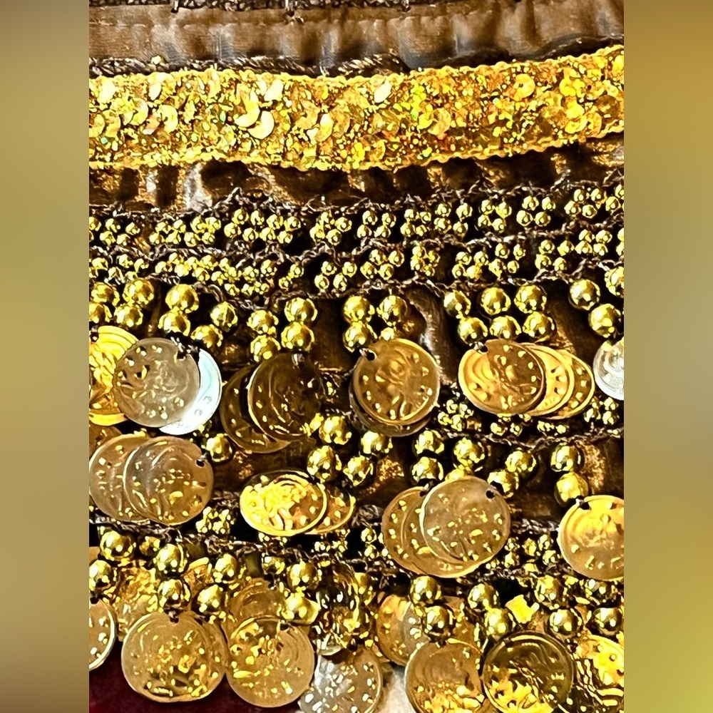 Brown velvet and gold coin hip scarf belly dance festival NWT - Picture 3 of 3